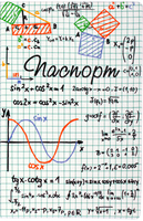 Обложка для паспорта "Formula"